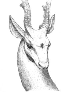 Trabajo de clase retrato animal A3, técnica tradicional puntillismo a rotulador